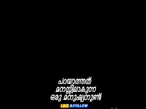 പറയാത്തത് മനസ്സിലാകുന്ന മനുഷ്യൻ 👀💭🤍 |  malayalam quotes